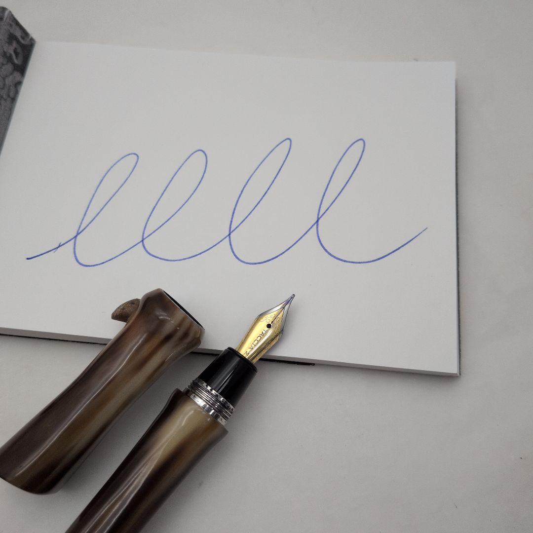 TACCIA バッファロー 万年筆