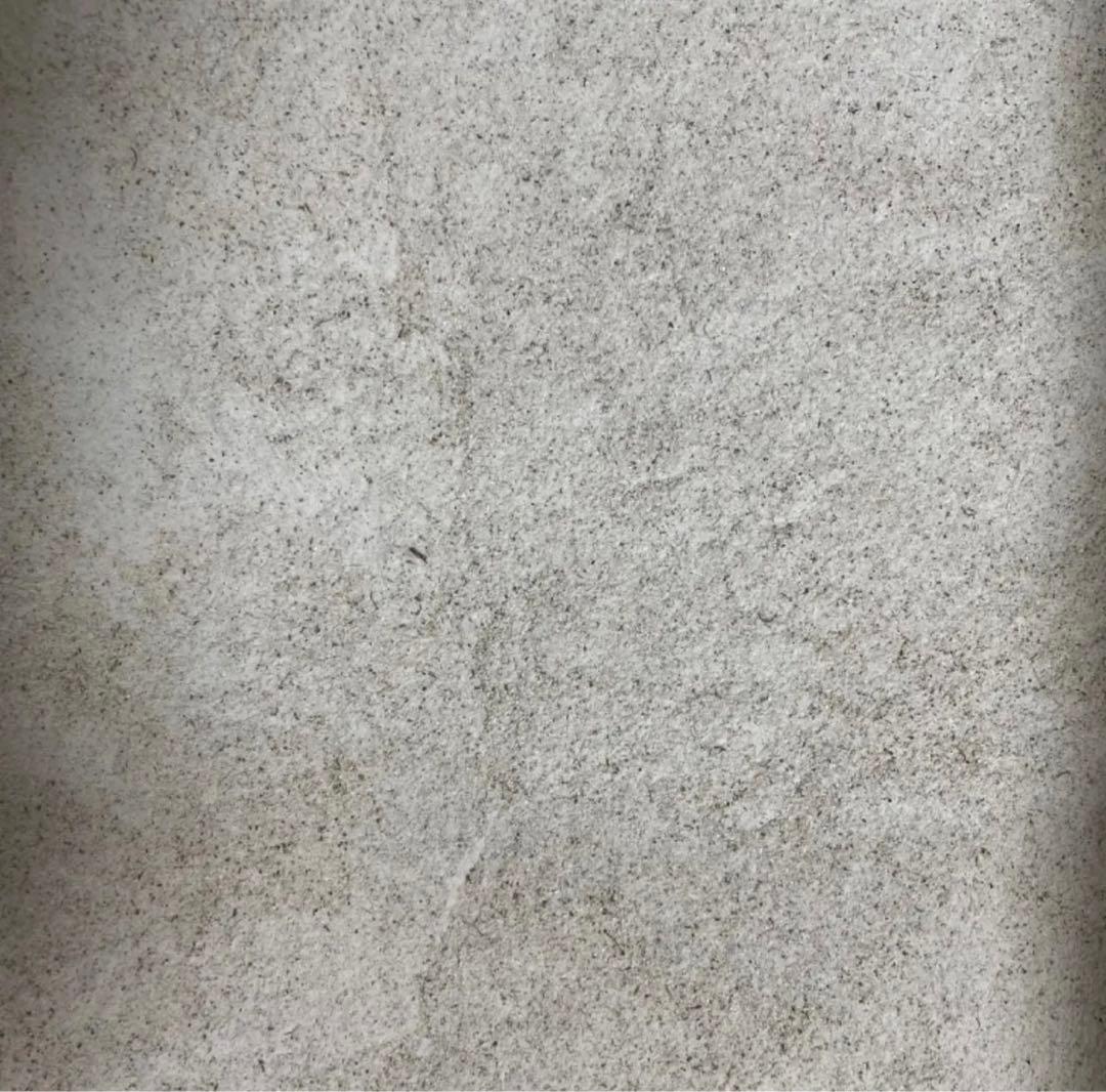 しろくま　そば殻付き実