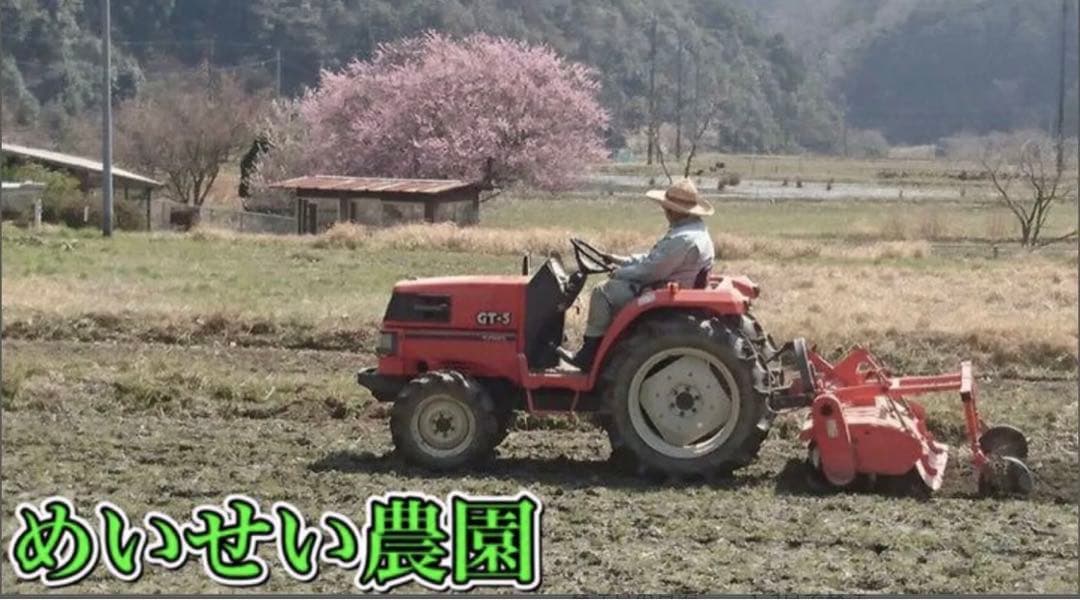 しろくま　そば殻付き実