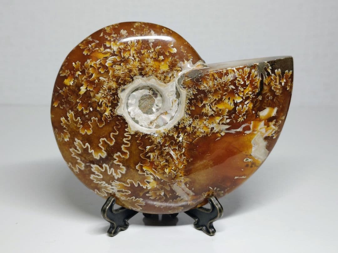 アンモナイト 383g アンモライト オパール 原石 鑑賞石 自然石 誕生石