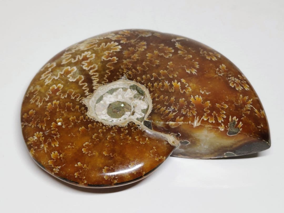 アンモナイト 383g アンモライト オパール 原石 鑑賞石 自然石 誕生石