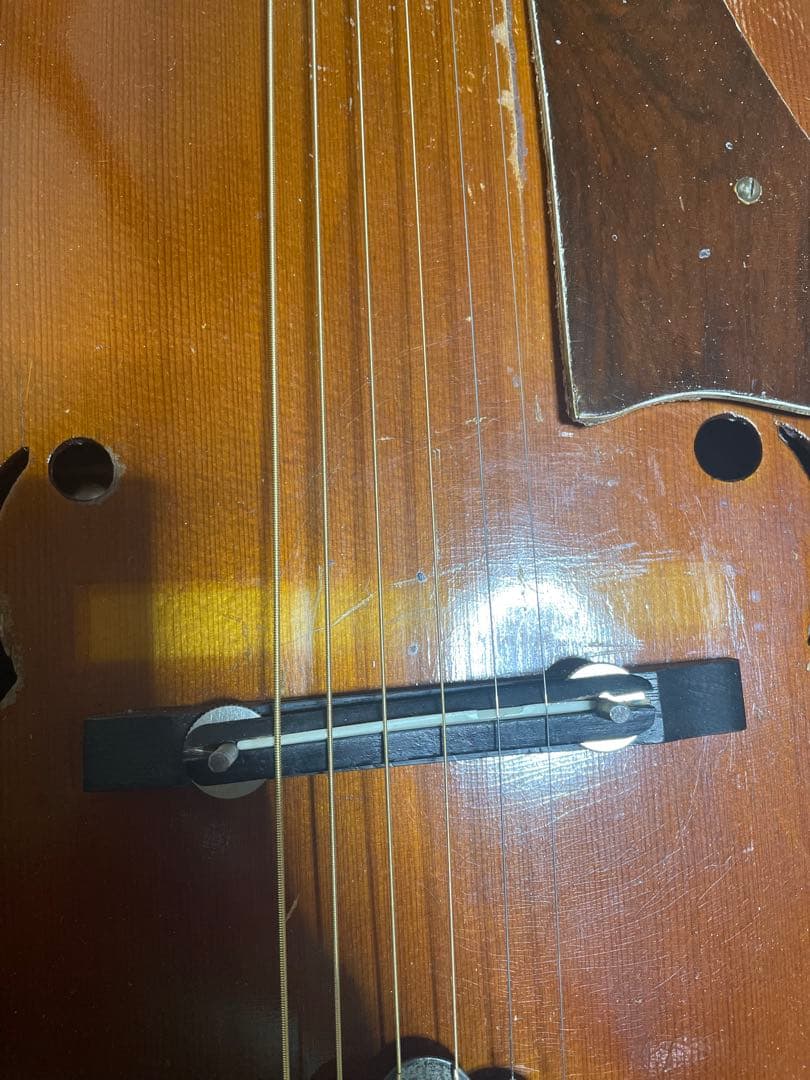 ブランド不明 アーチトップピックギター・フルアコ(50年代後期、60年代)