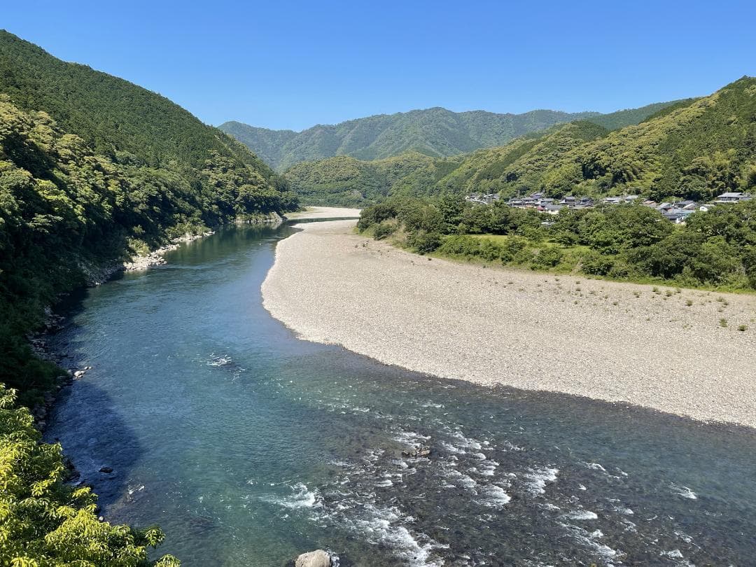 四万十川の流木　お題 ： ドラゴンヘッド