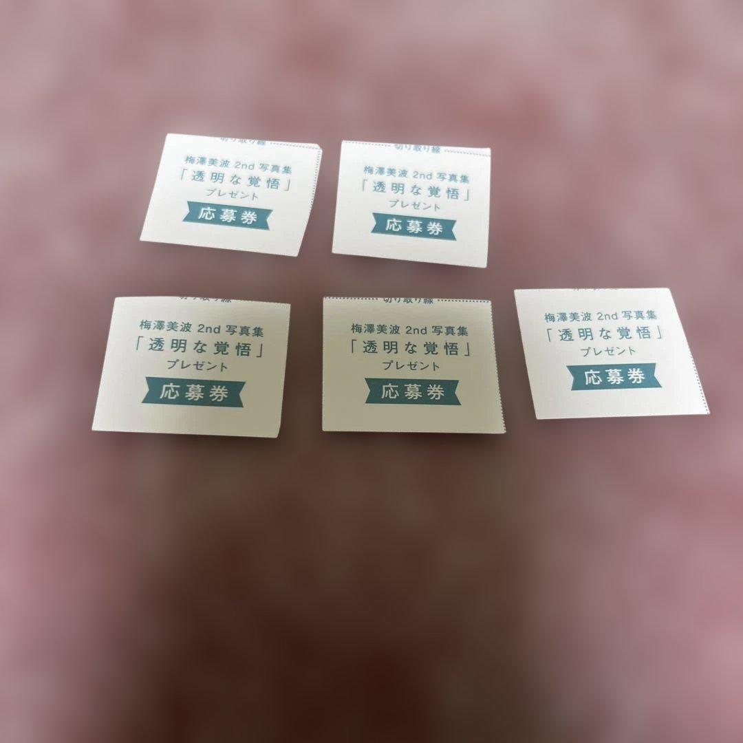 梅澤美波　写真集　封入.書店特典ポストカード、クリスマスカード、応募券5枚セット