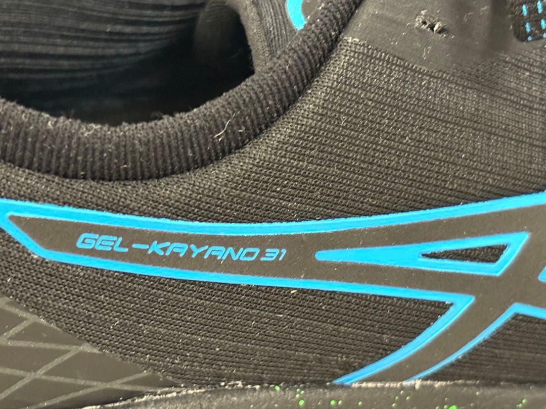 asics GEL-KAYANO31 サイズ26cm