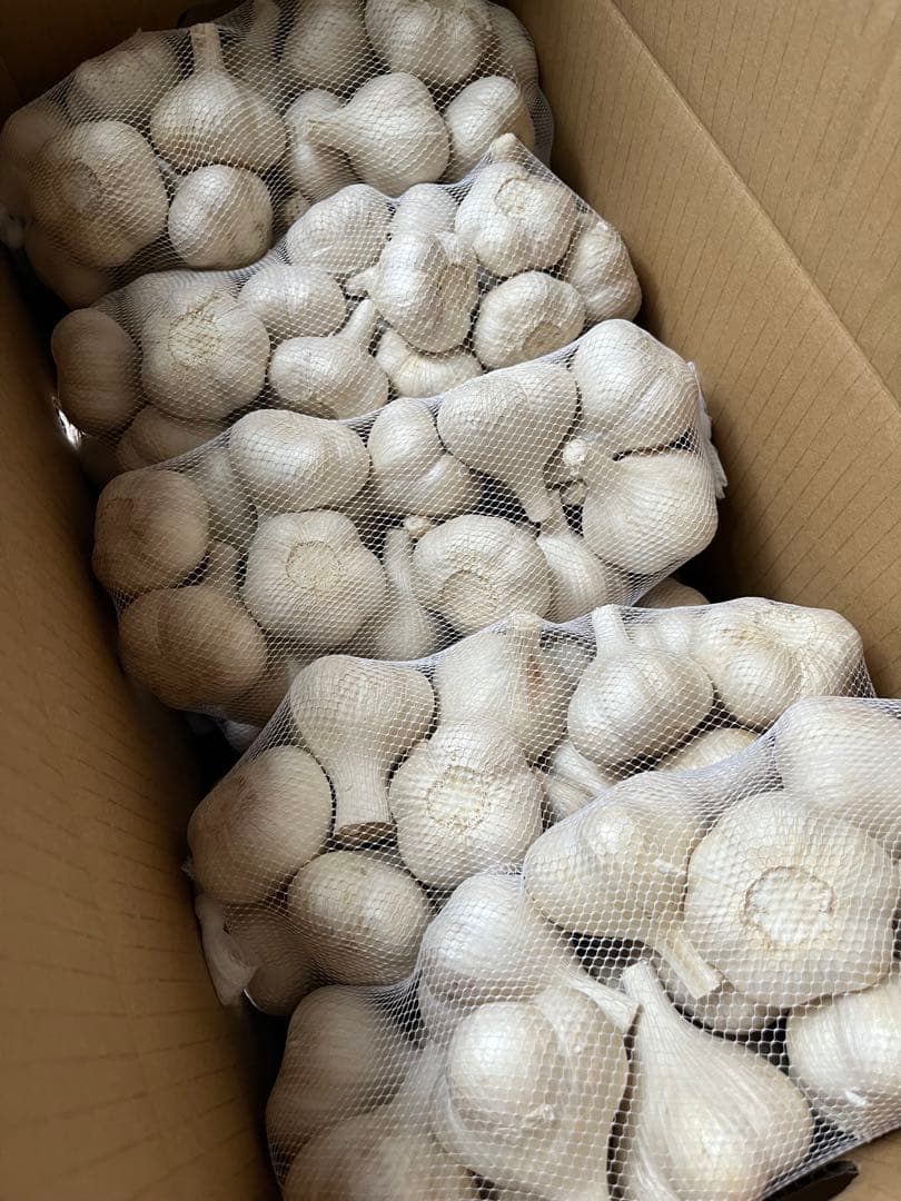 青森県産 福地ホワイト六片 にんにく M 玉 １０ｋｇ