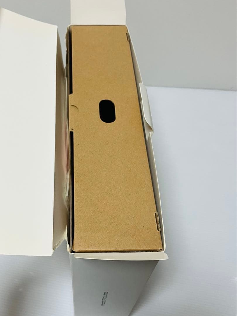 【通電確認済】シックスパッド フットフィットライト MTG