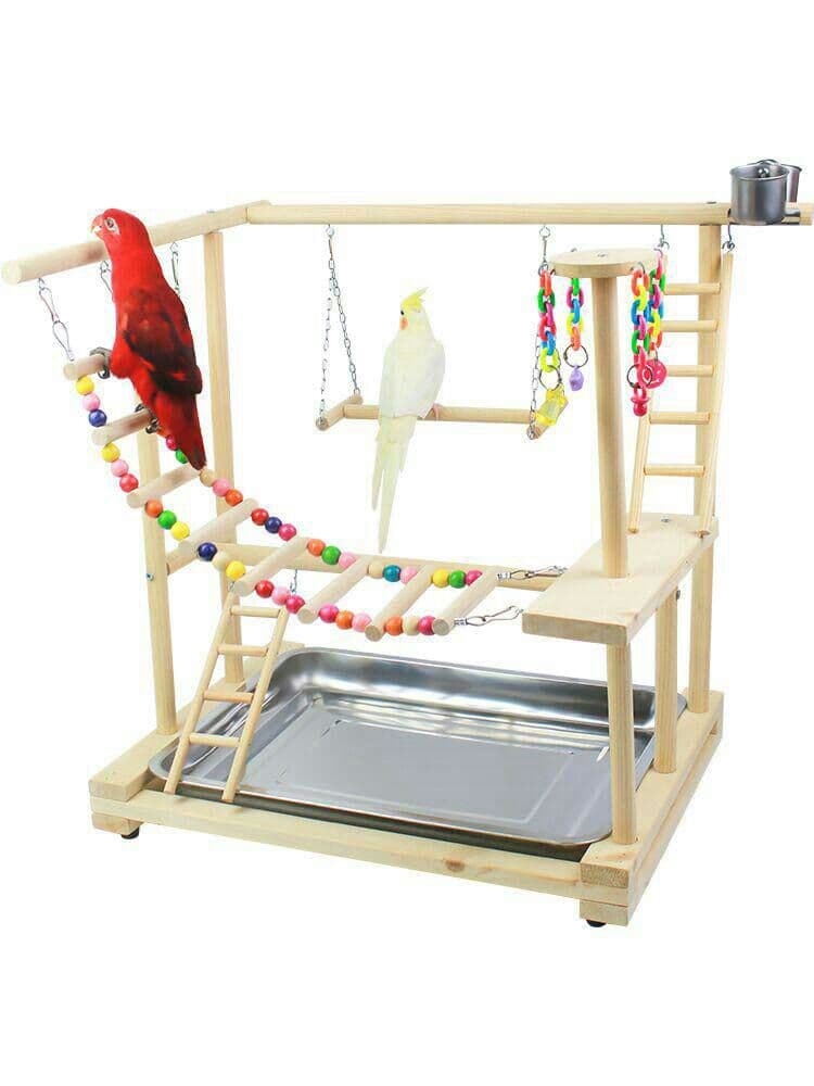 中小型. オウム遊園地 訓練する. 着地棚のおもちゃ.9