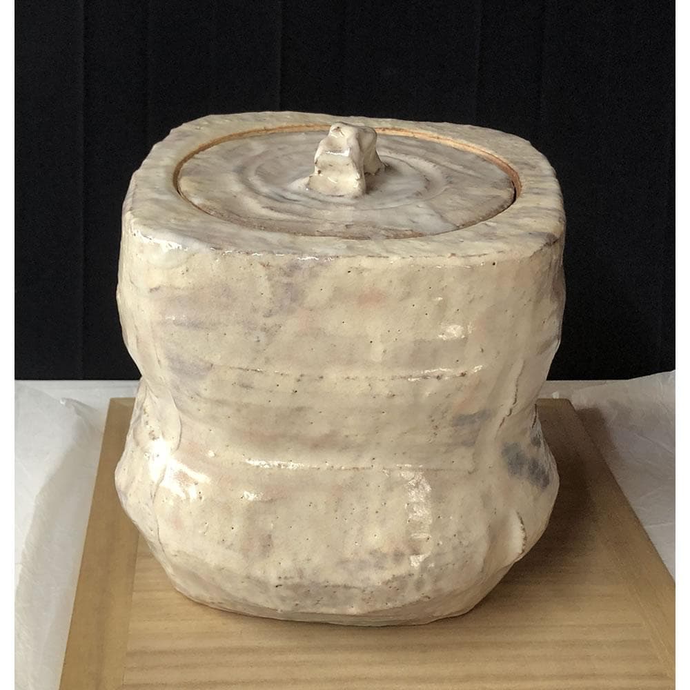 F1205 大和保男 萩焼 水指 共箱 高さ19cm 茶道具