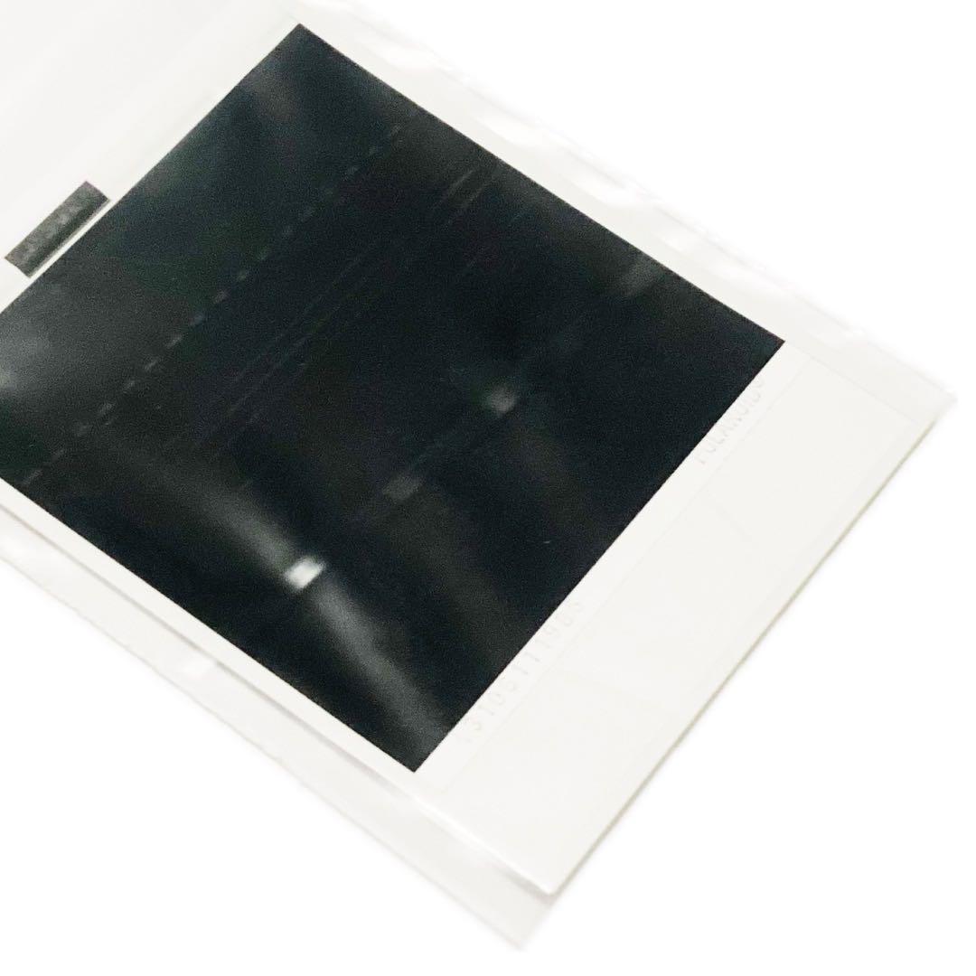 ★ 服部恭平 Kyohei Hattori サイン入り ポラロイド