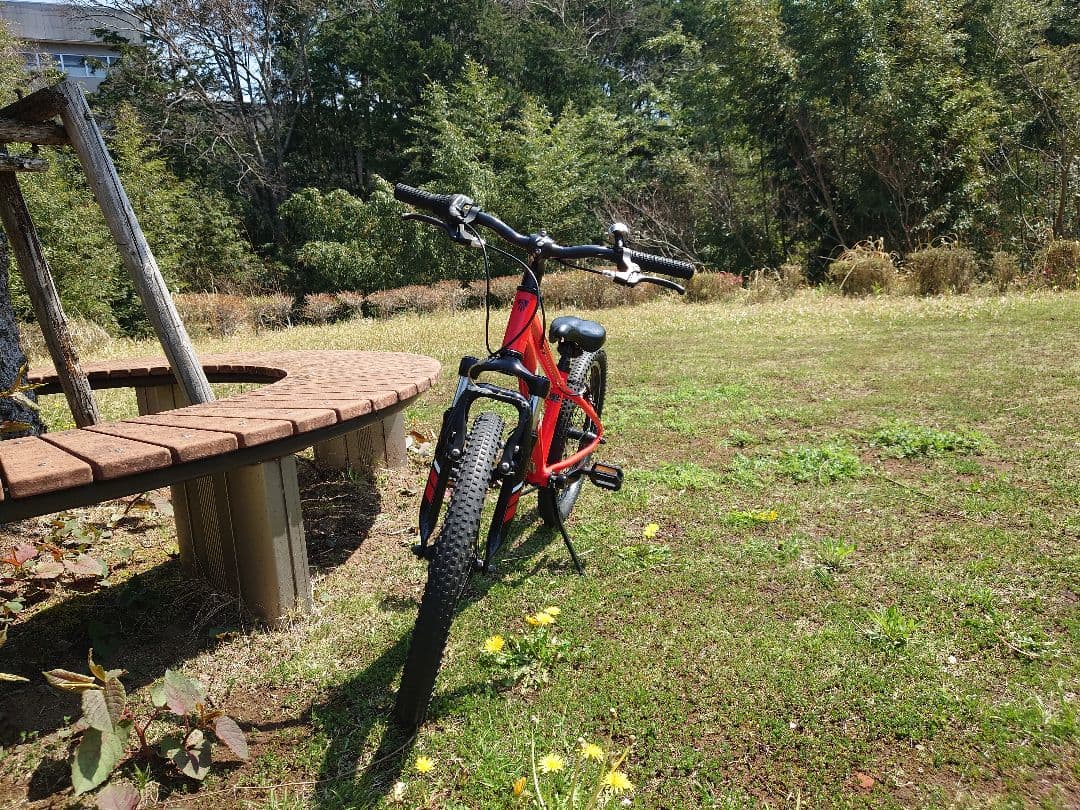 TREK（トレック） 20インチ身長114-132cm【お引き取り希望】