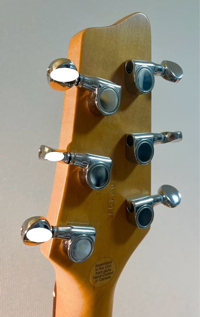 ギター Godin Radiator