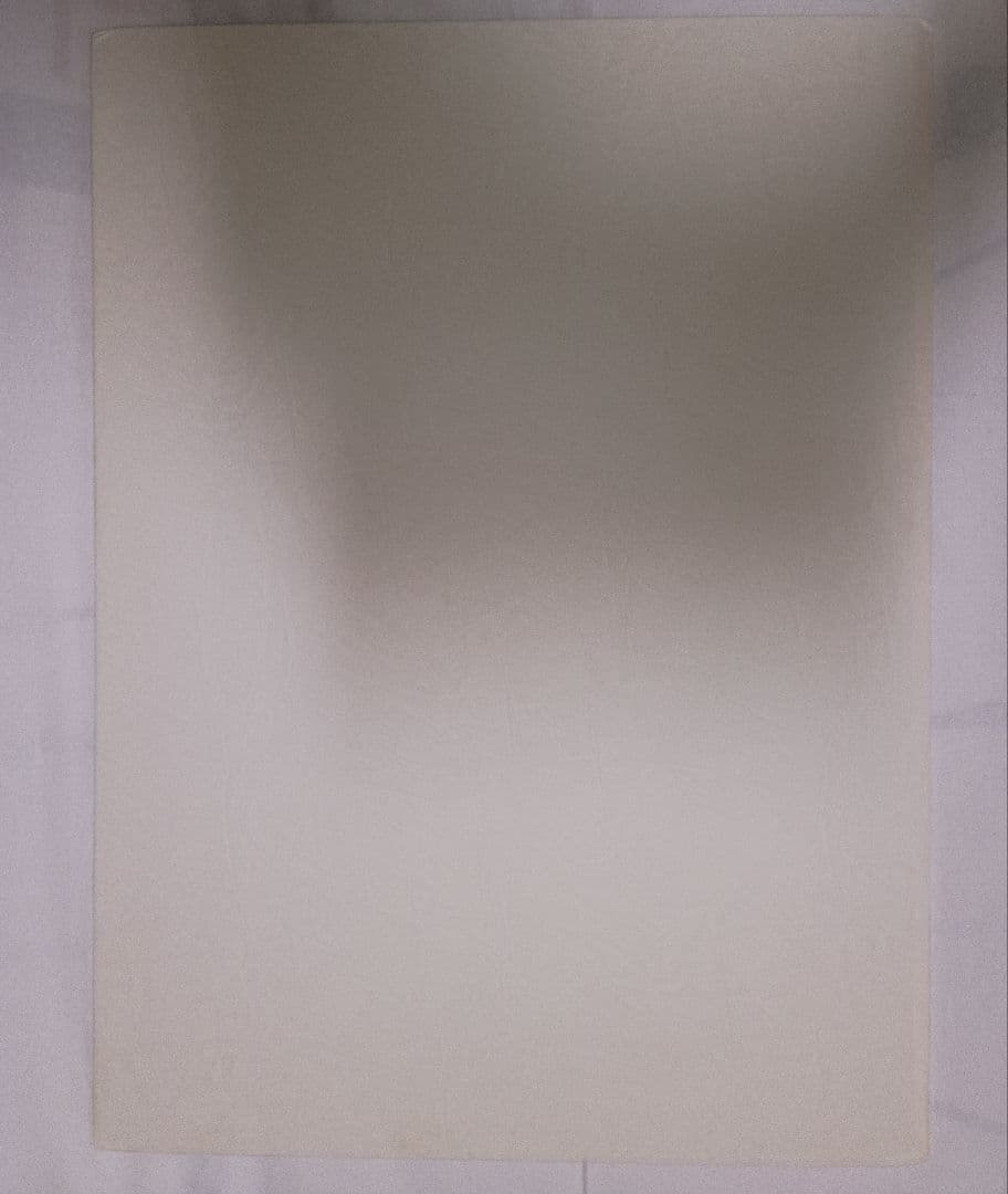 トライガンマキシマム 複製原画セット 内藤泰弘