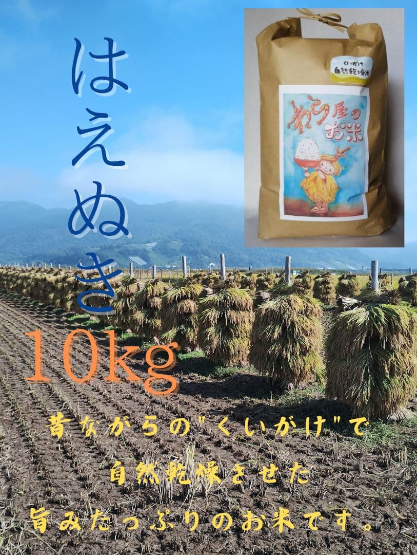 はえぬき米 10kg 自然乾燥　特別栽培米　令和7年産