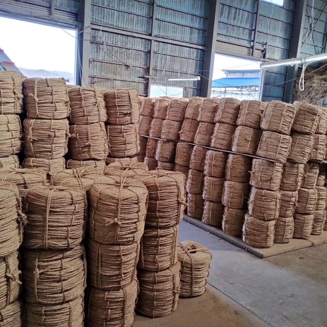 はえぬき米 10kg 自然乾燥　特別栽培米　令和7年産