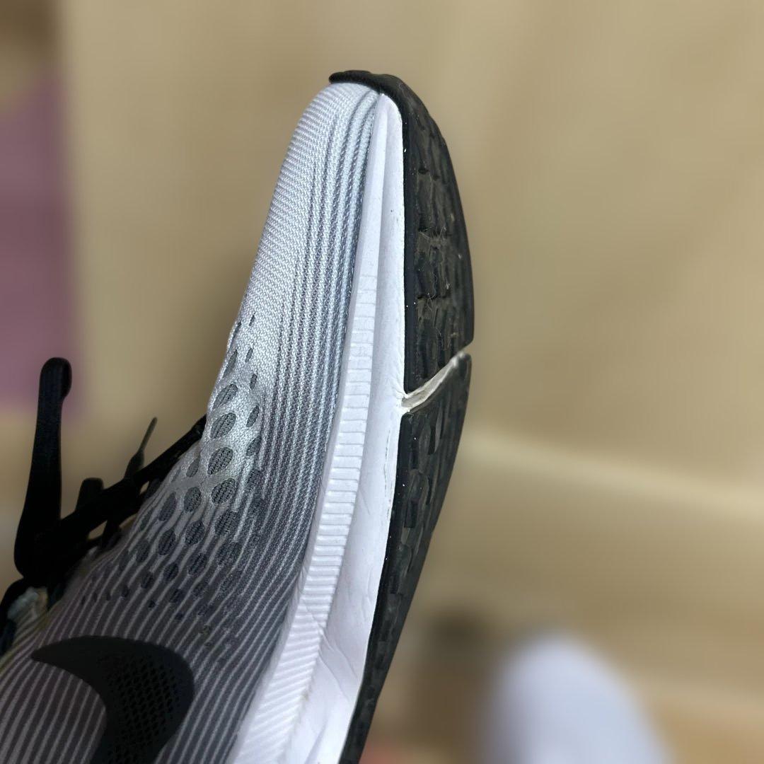 Nike Oregon project ペガサス　サイズ28cm