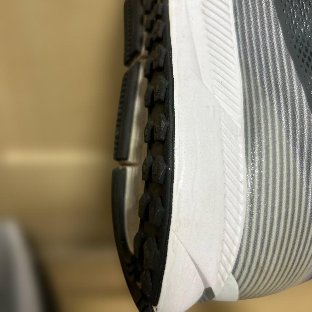 Nike Oregon project ペガサス　サイズ28cm