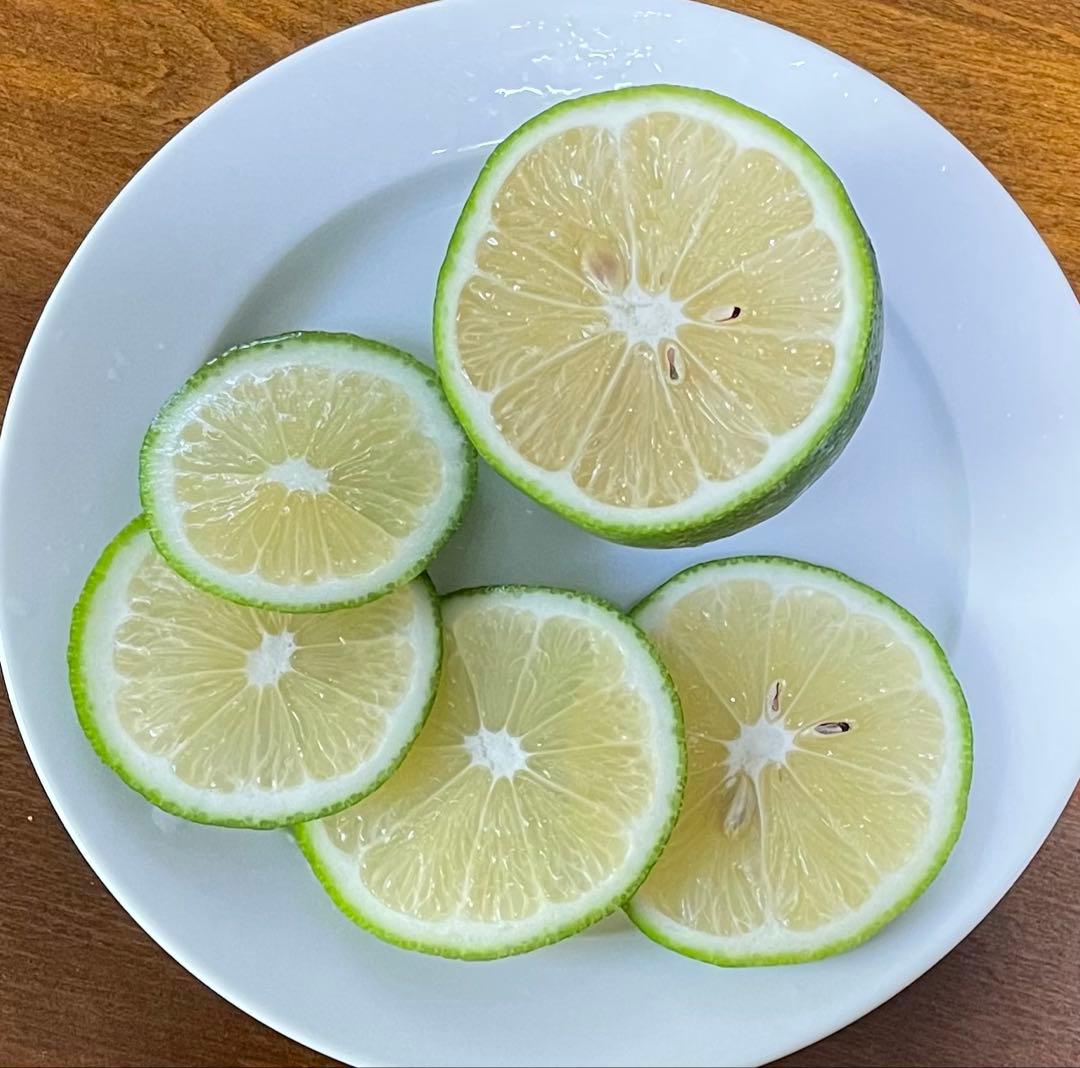 完全無農薬　石垣島産マイヤーレモン10キロ