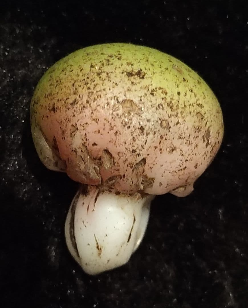 激レア 中国骨董品 アンティーク 少数民族 きのこ型 蜻蛉玉 硝子ビーズ