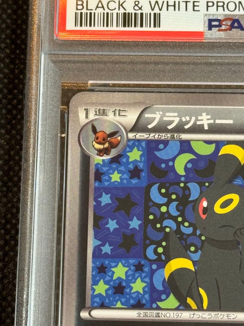 ポケモンカードゲーム ブラッキー イーブイコレクション プロモ　psa8