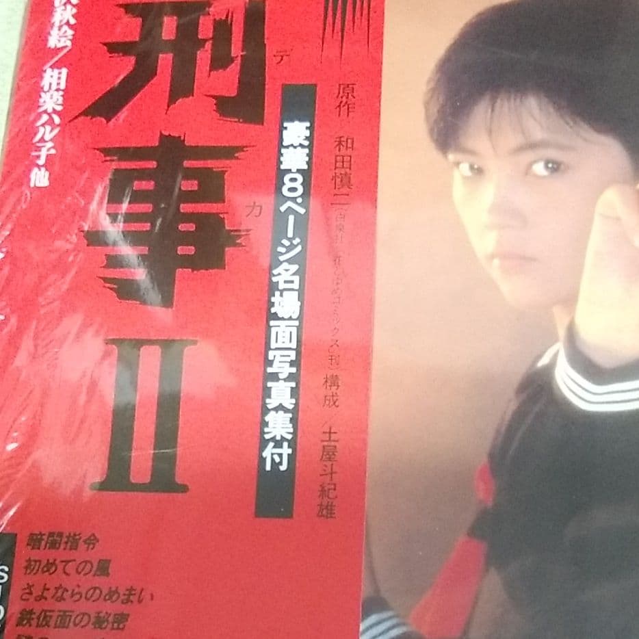 レコード 南野陽子  その1