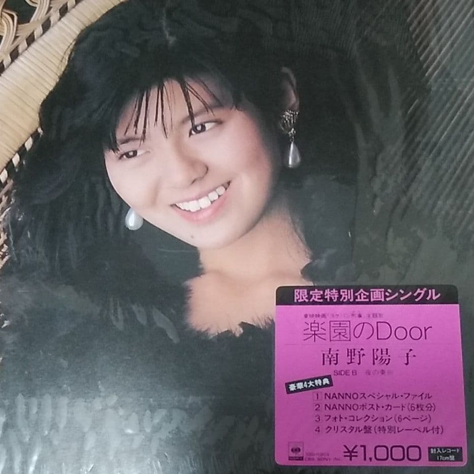 レコード 南野陽子  その1
