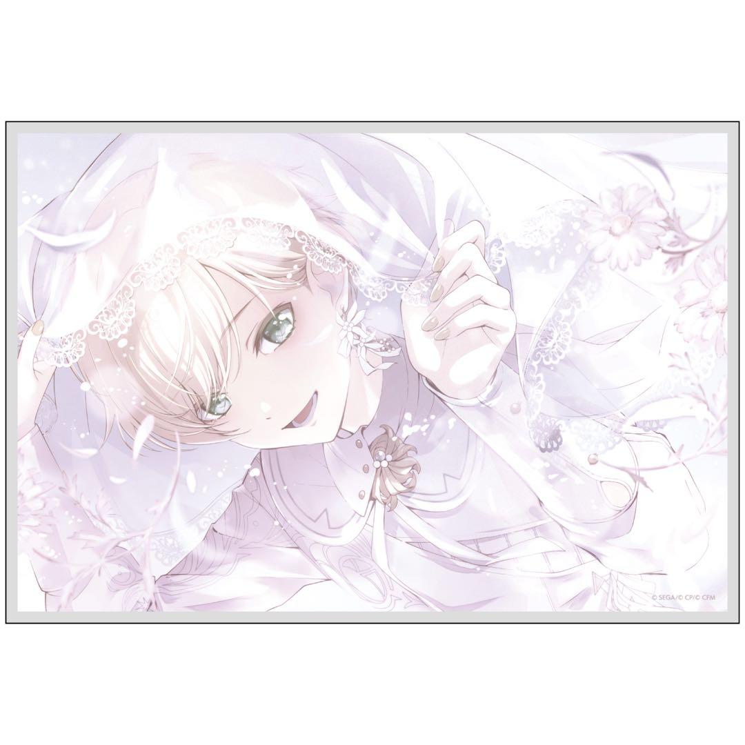 プロセカ　はぴこれ　レン　バースデー　アクリル色紙B