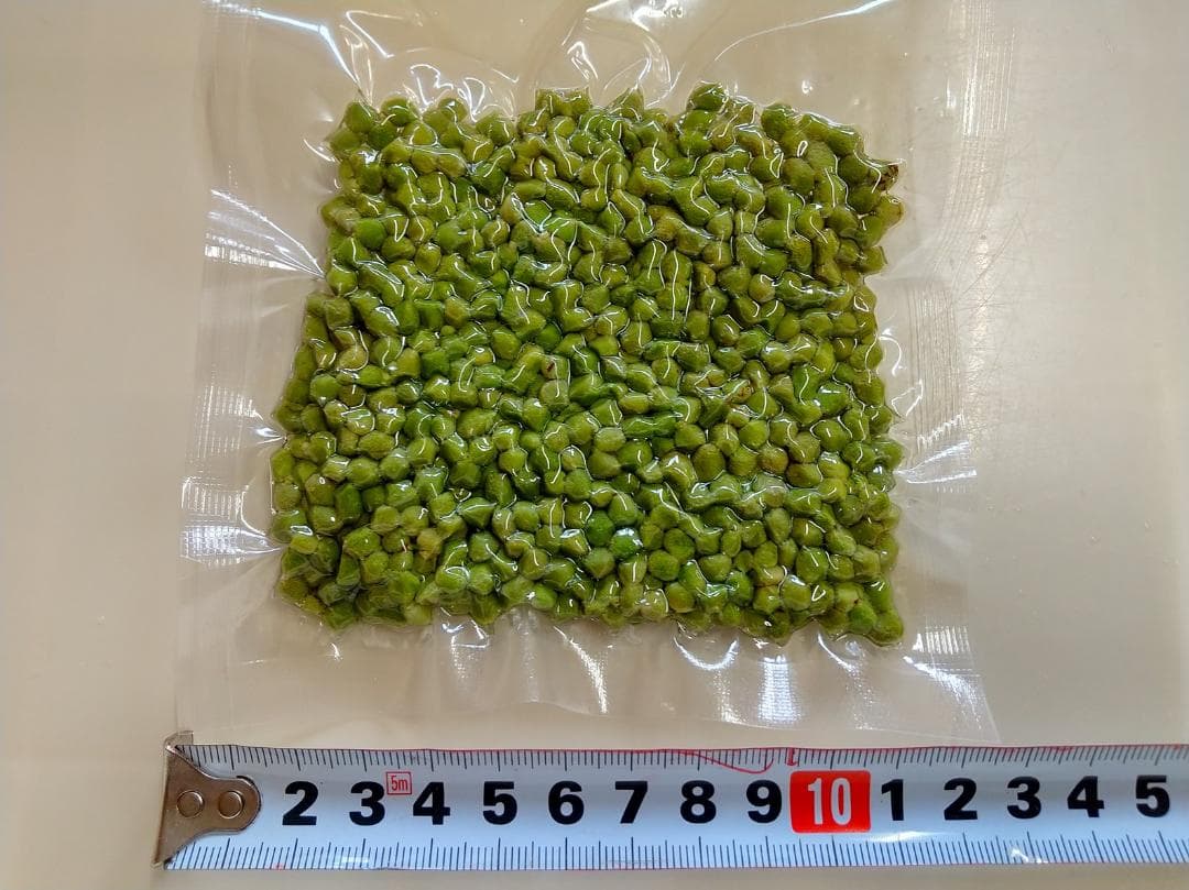 枝取りアク抜き済み！　北秋田阿仁産手作り塩蔵実山椒50ｇ×20パック