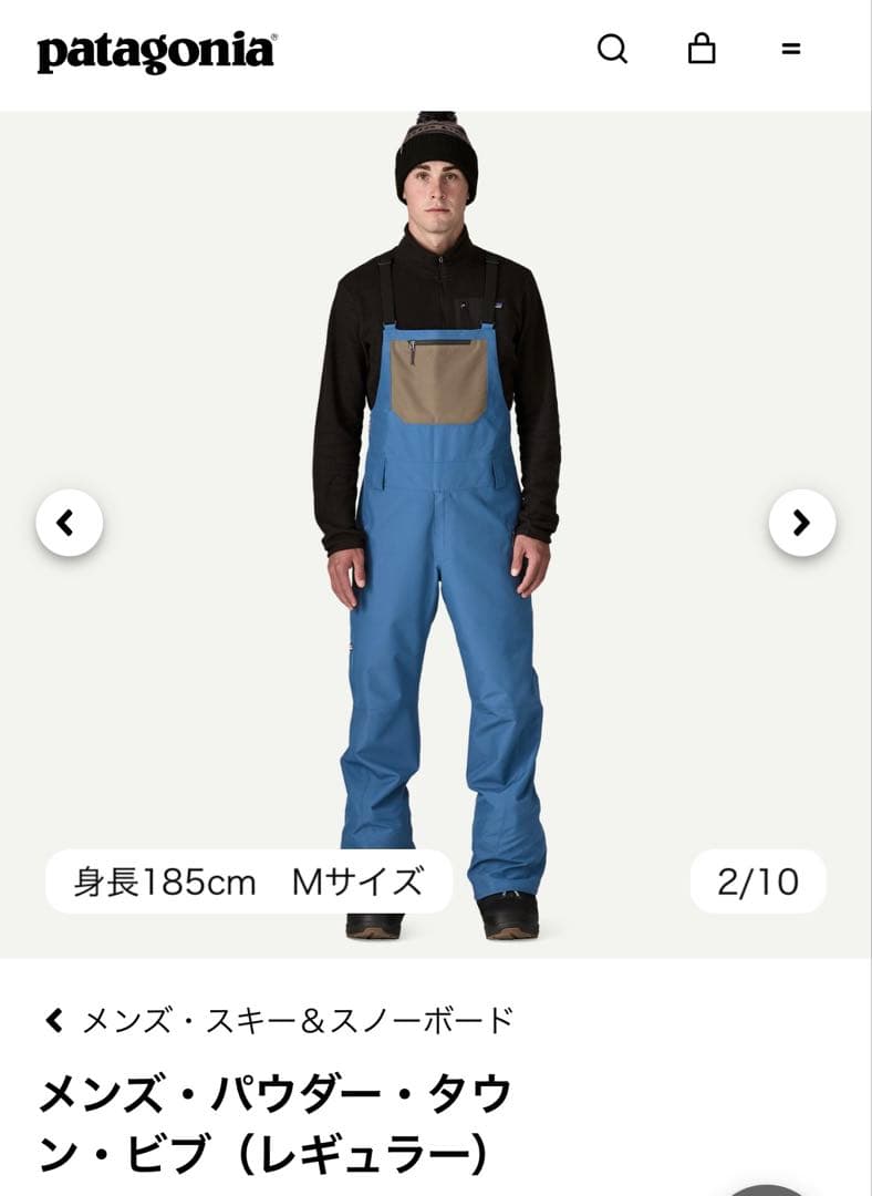 Patagonia パウダー・タウン　メンズ(レギュラー)