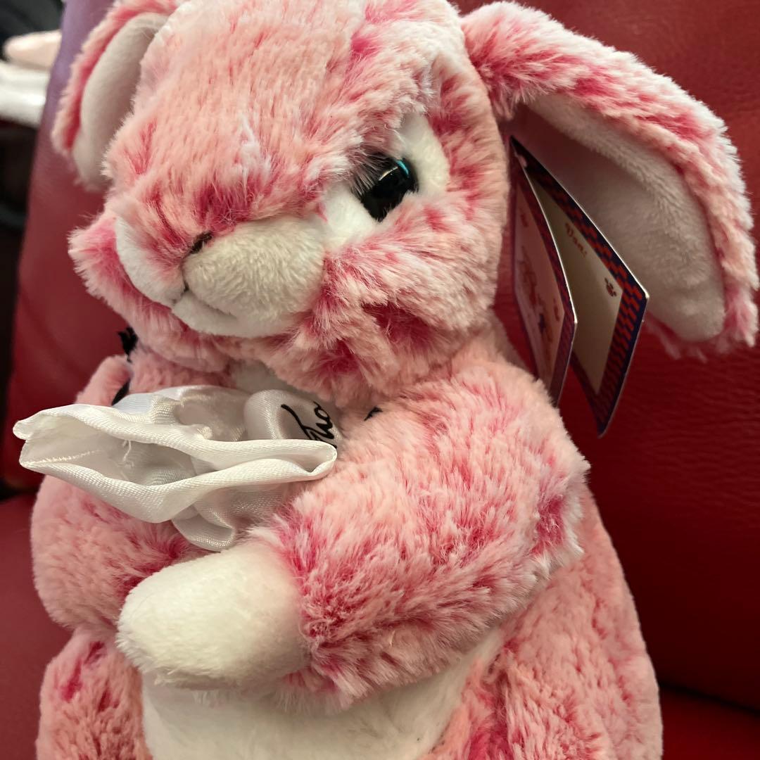 ドイツ製kuschelwuschelピンクウサギぬいぐるみ宝石入れ袋付