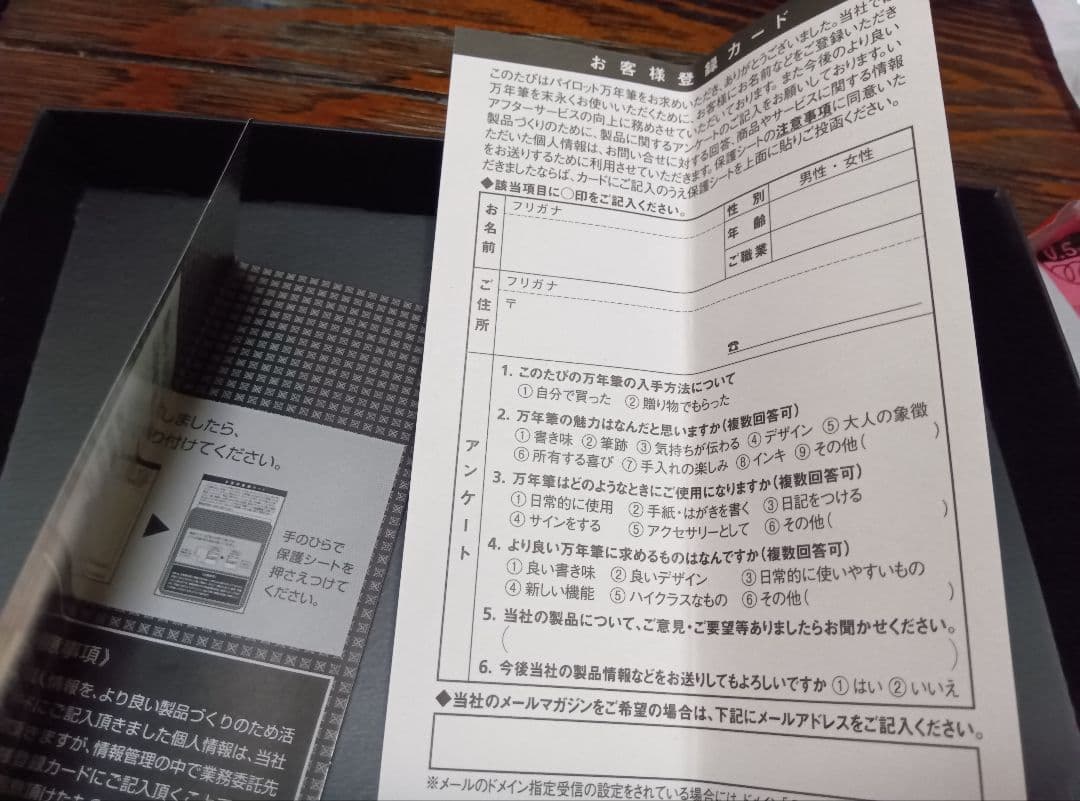 PILOT 木目調 万年筆 Bペン先 ケース付