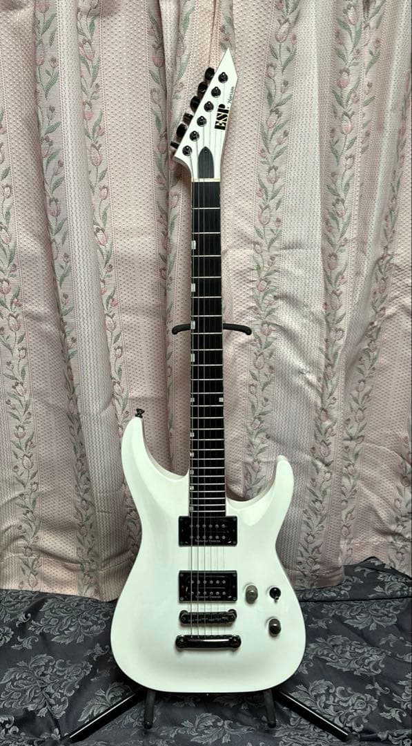 ESP エレキギター　HORIZON ホライゾン