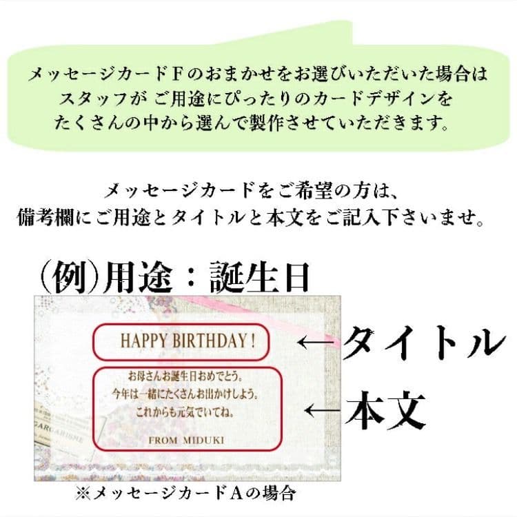 長崎県産伊木力みかん 小玉 10kg 約140個〜160個入 2S〜3S