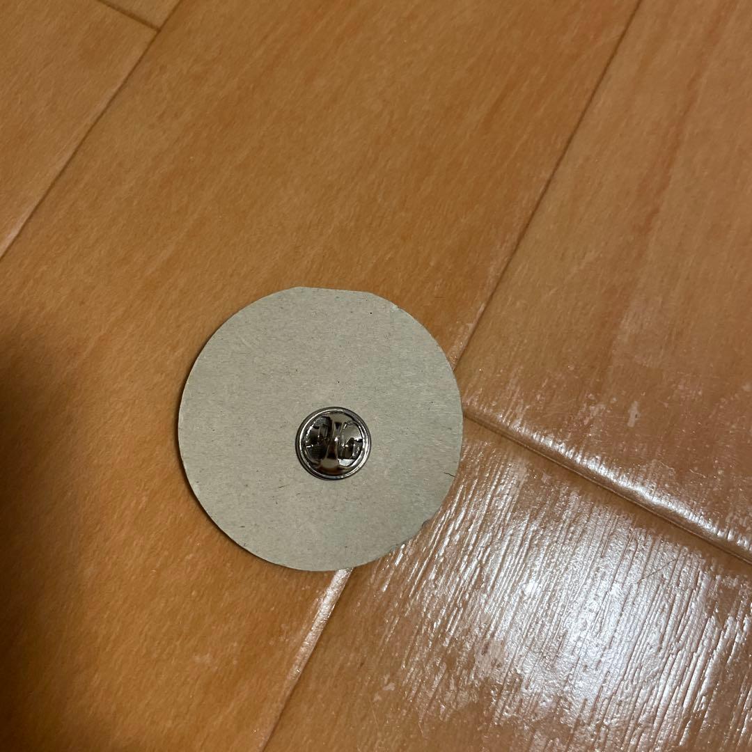 【ポケパーク限定】ポケモン ピンバッジ ピカチュー