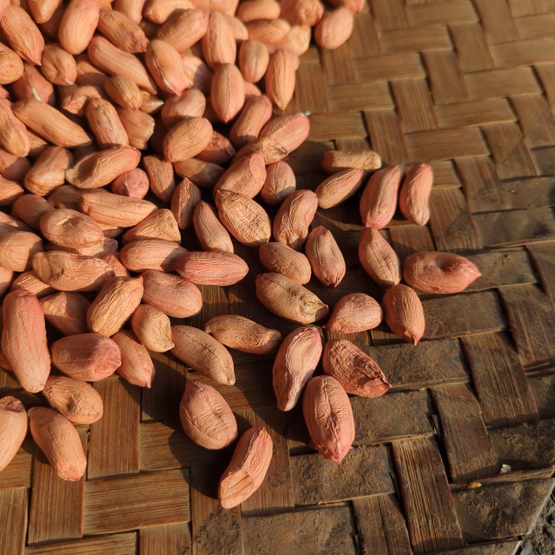 Naoto　千葉県産 おおまさり 手むき 乾燥生落花生