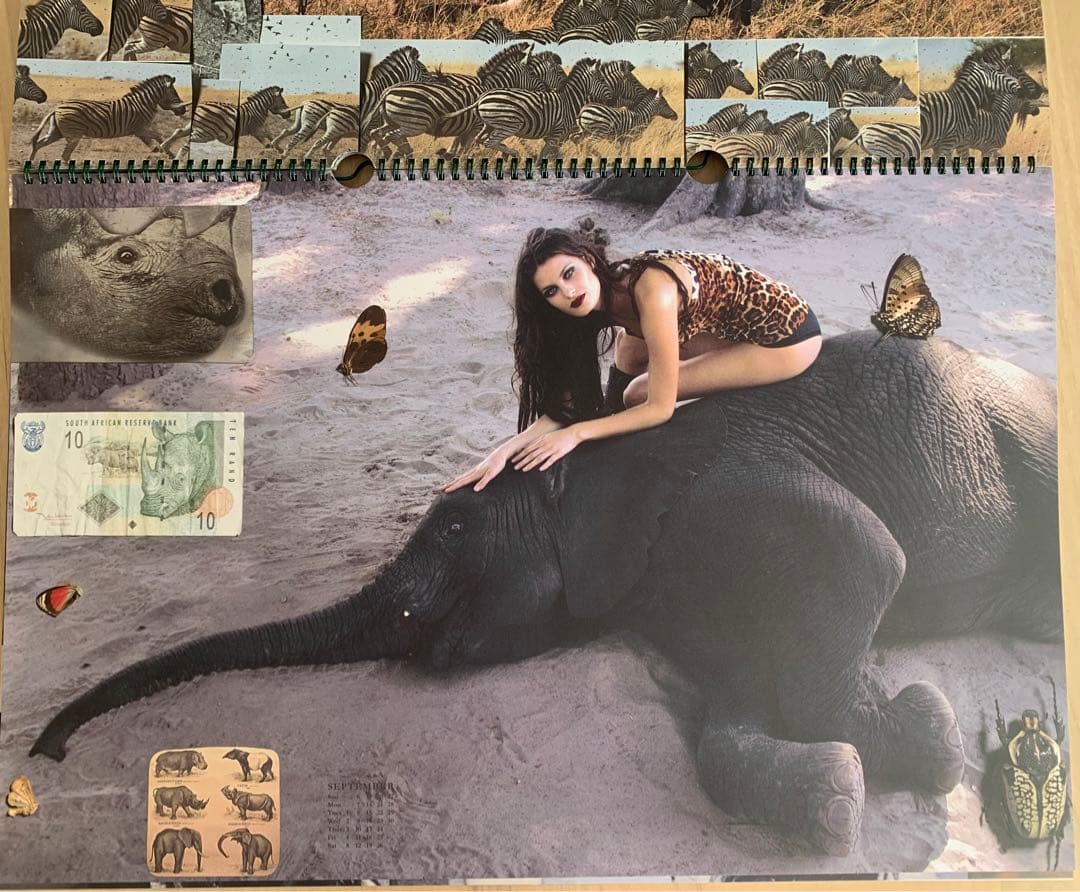 Peter Beard カレンダーPirelli 2009