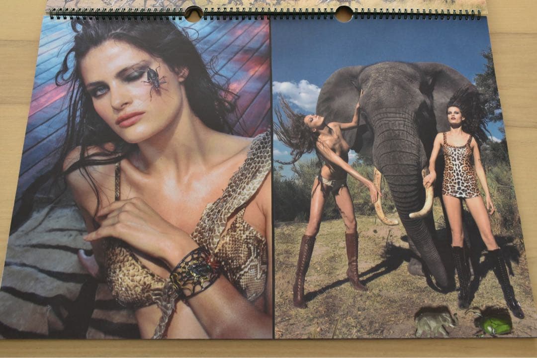 Peter Beard カレンダーPirelli 2009