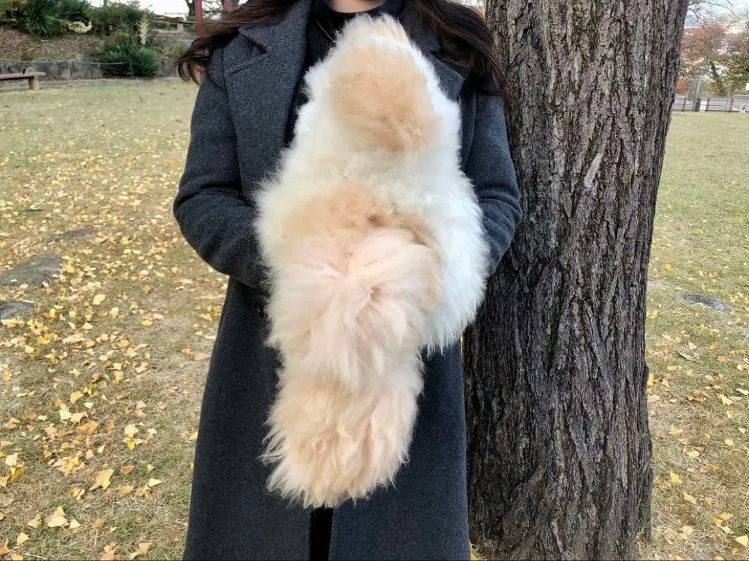 アルパカ テディベア ベビーアルパカ100% XXL ペルー