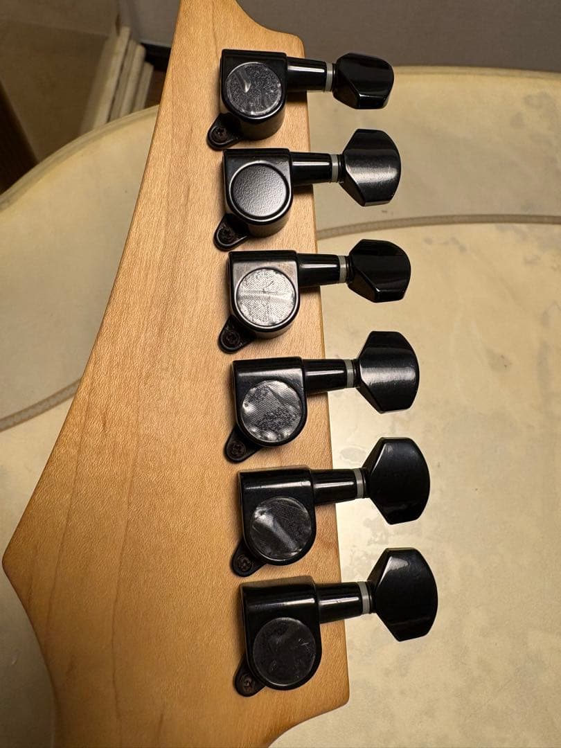 Ibanez GIO Electric Guitar カバー　スタンドセット