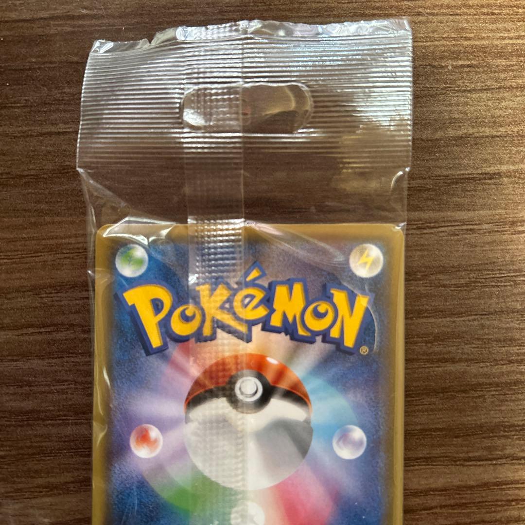 ポンチョを着たイーブイ　ブラッキー　未開封