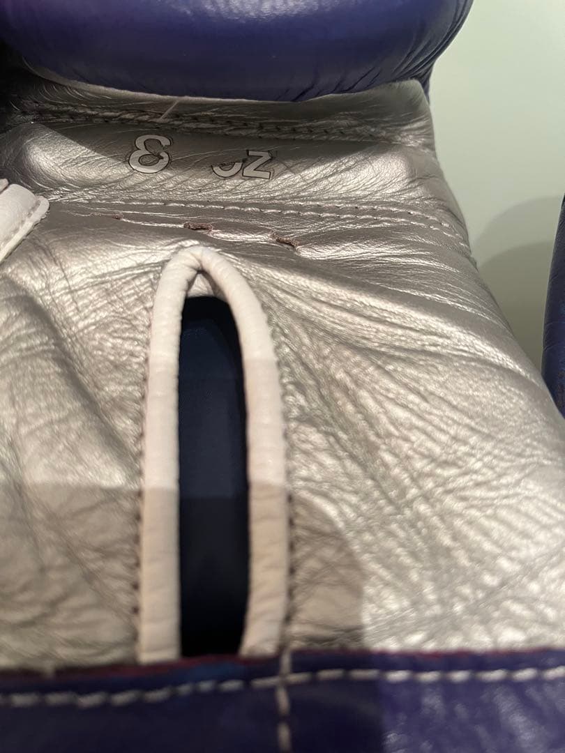 Winning グローブ 紫/シルバー8オンス