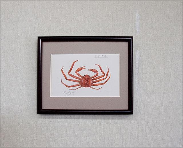 生物細密画（水彩）「ズワイガニ」