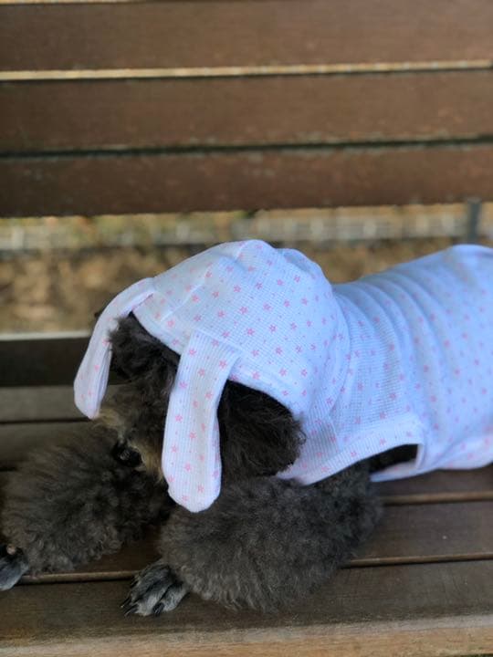 オーダー 犬服 タンクトップ