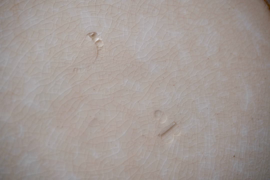 フランス アンティーク クレイユモントロー オクトゴナルプレート 陶器 深皿②