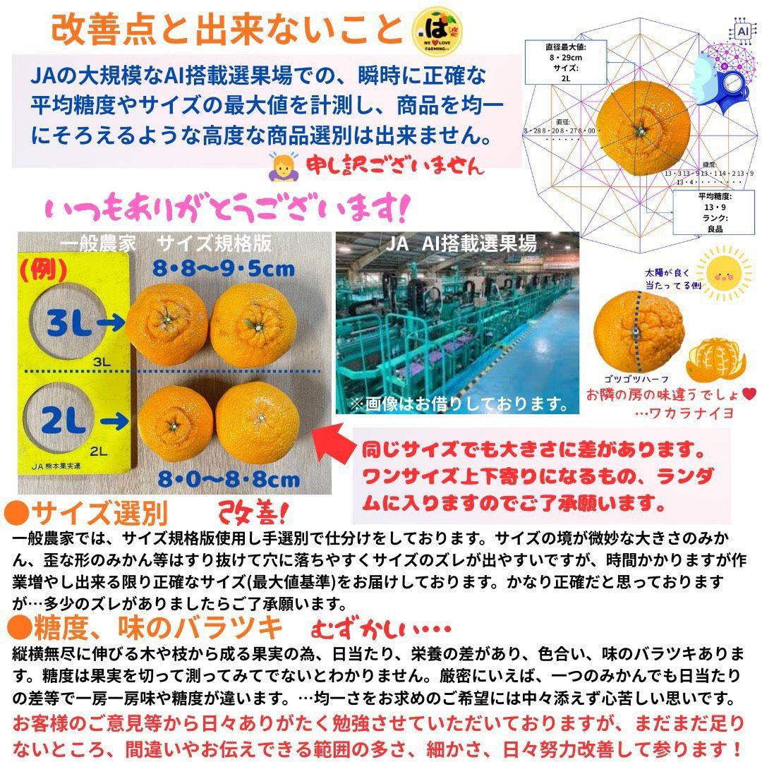 ※確認用　大玉MIX箱込み4.5kg以上【露地栽培　不知火　デコポン　肥の豊】