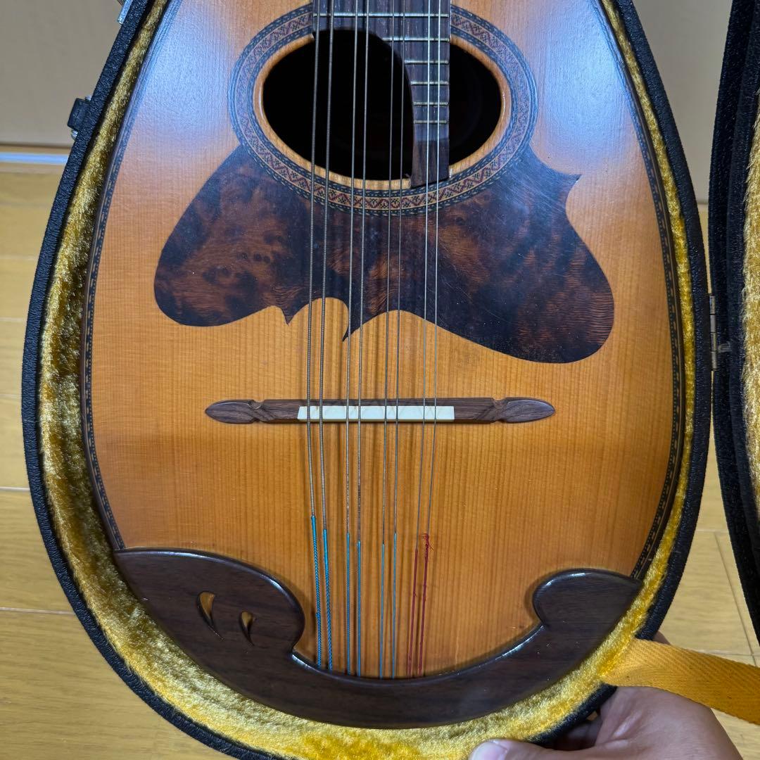 SUZUKI マンドラ MD-515