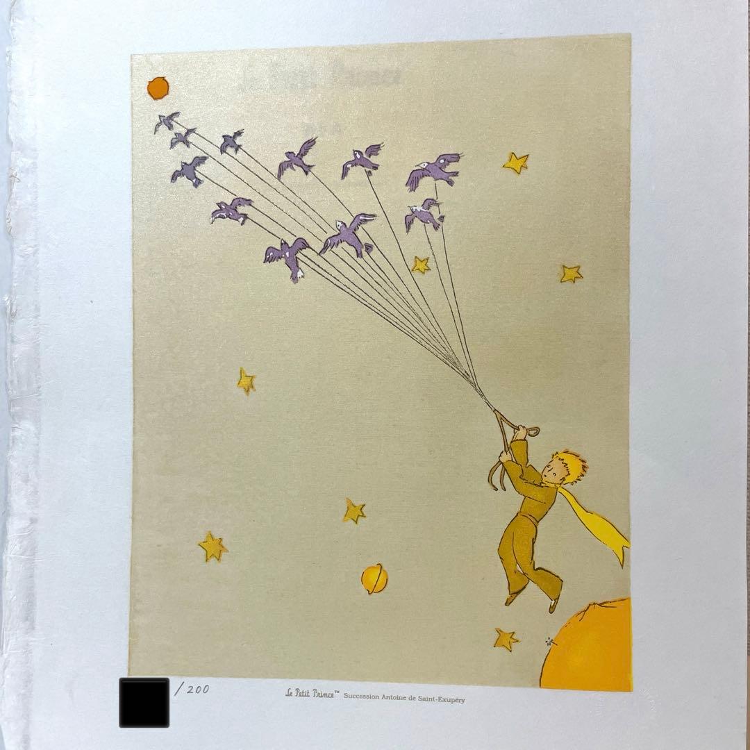 星の王子さま　渡り鳥　2007年　エディションNo ライセンス認証有り