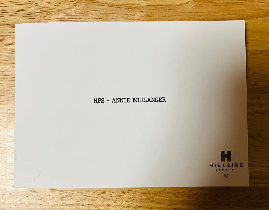 スノーボード SALOMON HPS ANNIE BOULANGER