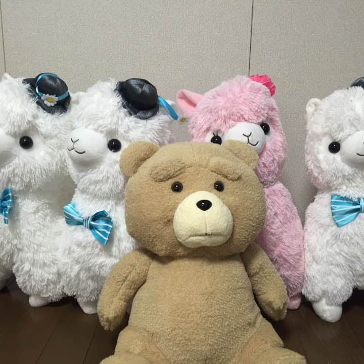 アルパカぬいぐるみ