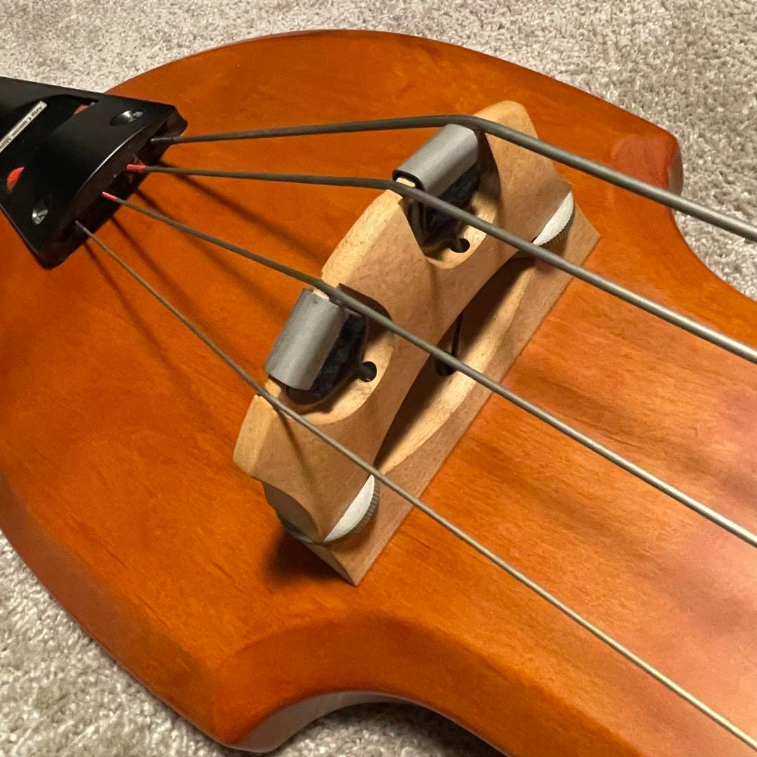 Aria SWB-02 Fishman ピックアップ搭載 ケース付き